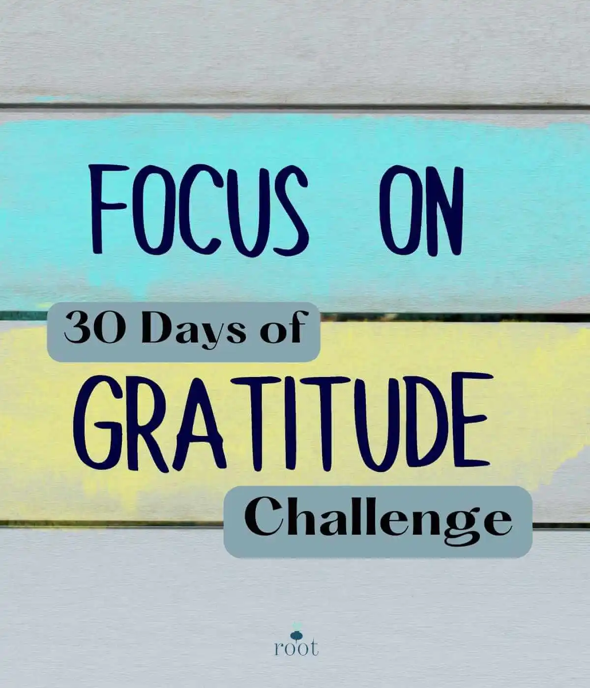 A wall with 3 colors it reads "Focus On 30 Days of Gratitude Challenge." | Root Nutrition & Education